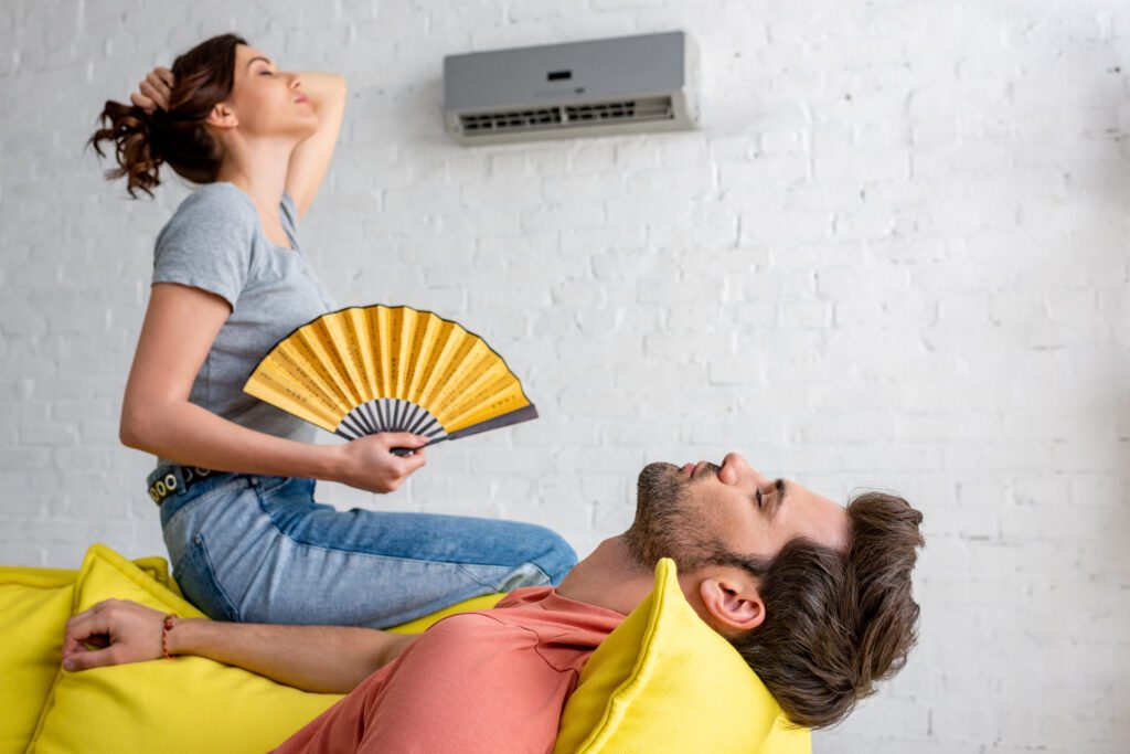 Quick Tips to Improve the Indoor Air Quality of Your Martinsburg Home
